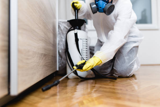 Best Cockroach Control Services  in Coalfield, TN