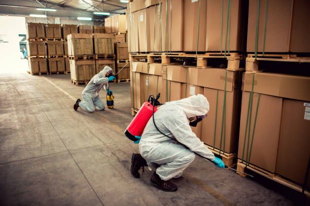 Best Commercial Pest Control Services  in Coalfield, TN