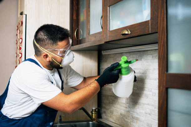 Best Bed Bug Extermination  in Coalfield, TN
