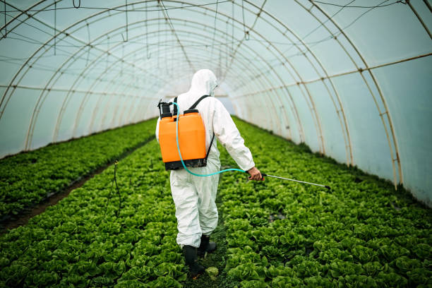 Best Local Pest Control Services  in Coalfield, TN