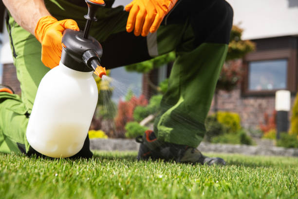 Best Pest Prevention Services  in Coalfield, TN