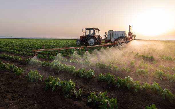 Insect Control in Coalfield, TN