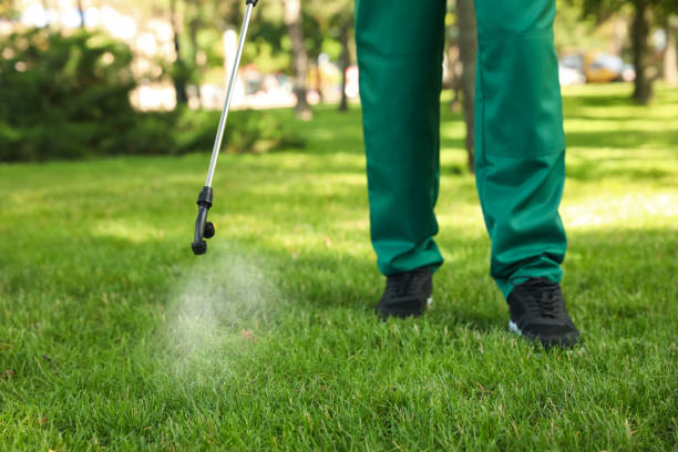 Flea Control Services in Coalfield, TN
