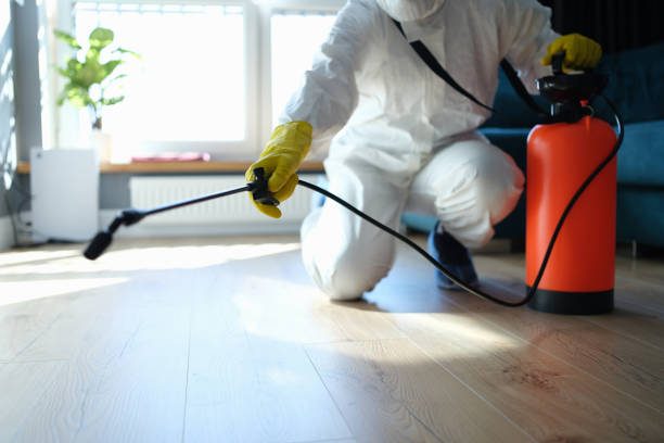 Best Emergency Pest Control  in Coalfield, TN