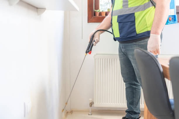Best Wasp Removal Services  in Coalfield, TN