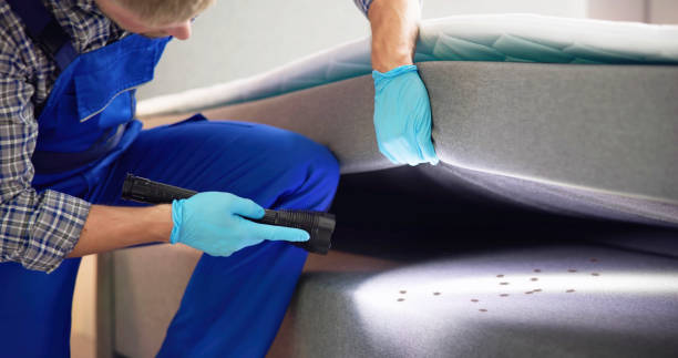 Flea Control Services in Coalfield, TN
