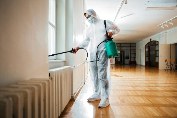 Trusted Coalfield, TN Pest Control Experts