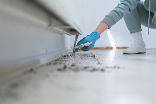 Best Exterminator Services  in Coalfield, TN