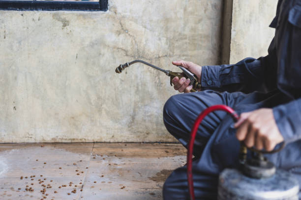 Best Best Pest Control Companies  in Coalfield, TN